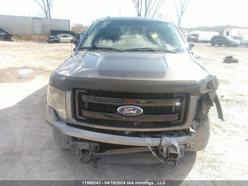 2013 Ford F-150 VIN: 1FTFW1EF1DFD58142 Lot: 11989243