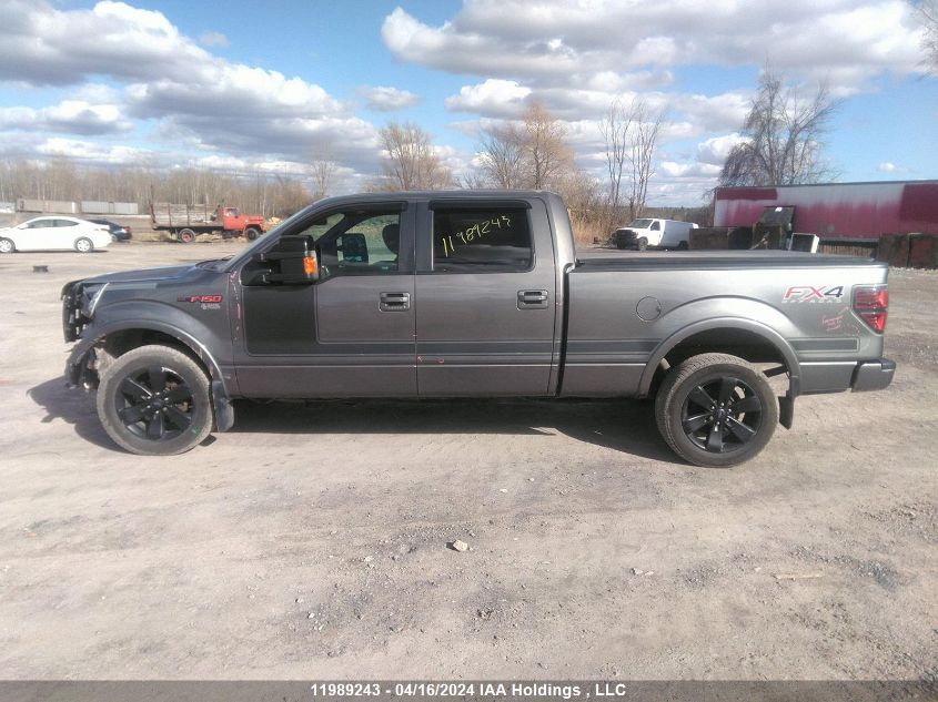 2013 Ford F-150 VIN: 1FTFW1EF1DFD58142 Lot: 11989243