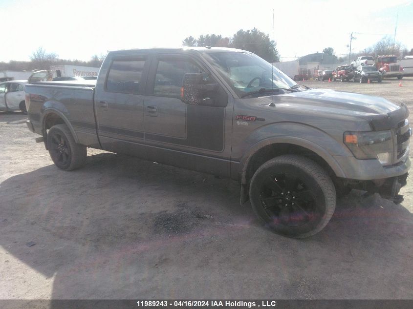 2013 Ford F-150 VIN: 1FTFW1EF1DFD58142 Lot: 11989243