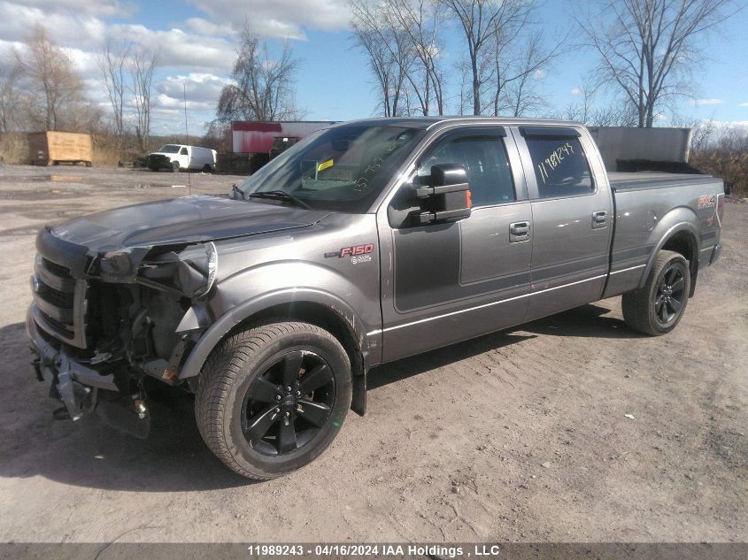 2013 Ford F-150 VIN: 1FTFW1EF1DFD58142 Lot: 11989243