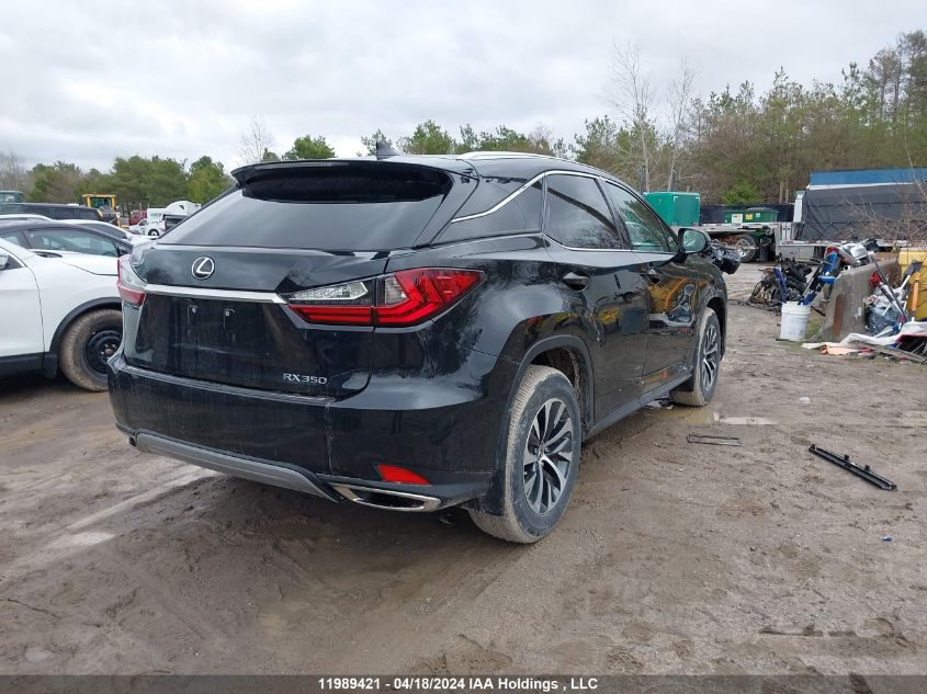 2020 Lexus Rx 350 VIN: 2T2HZMDA3LC239597 Lot: 11989421