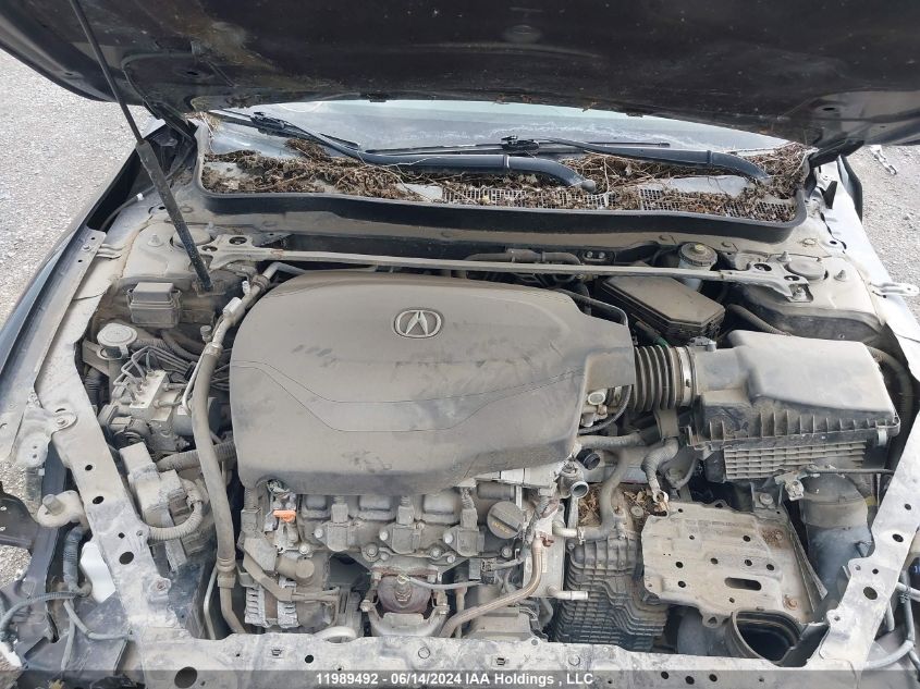 2015 Acura Tlx Advance VIN: 19UUB3F77FA800798 Lot: 11989492