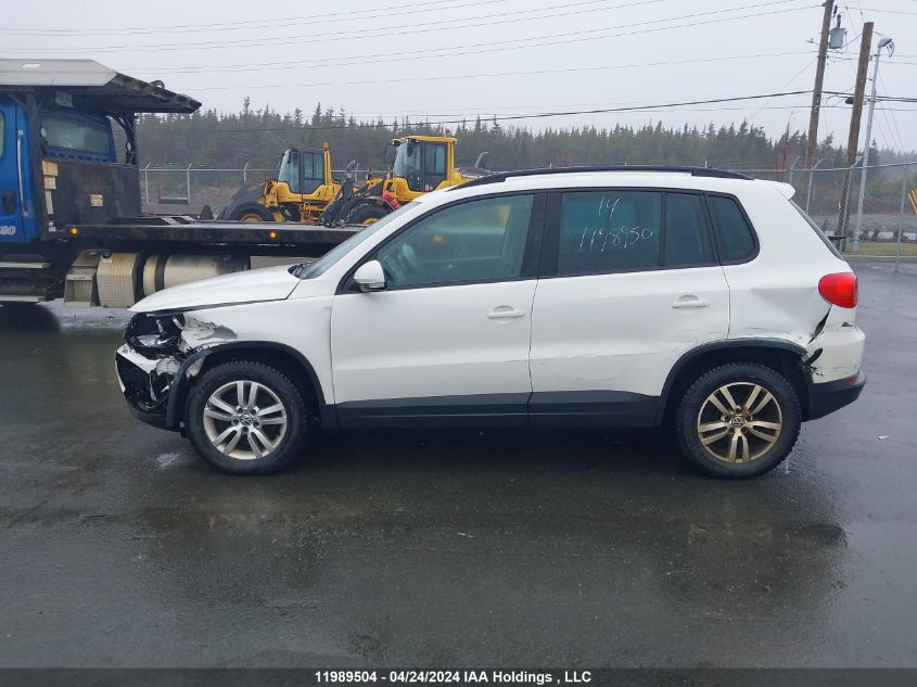 2014 Volkswagen Tiguan VIN: WVGJV3AX0EW506317 Lot: 11989504