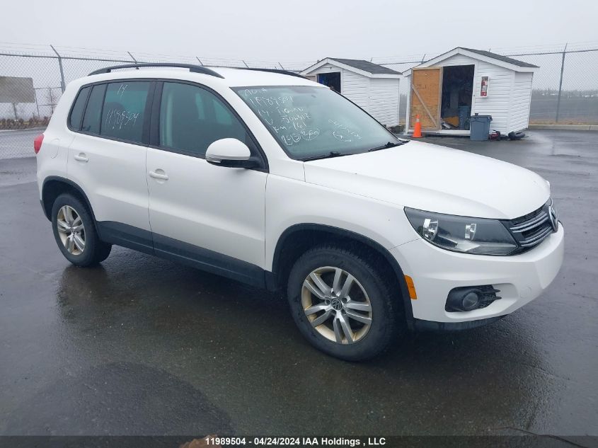 2014 Volkswagen Tiguan VIN: WVGJV3AX0EW506317 Lot: 11989504