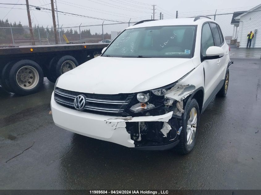 2014 Volkswagen Tiguan VIN: WVGJV3AX0EW506317 Lot: 11989504