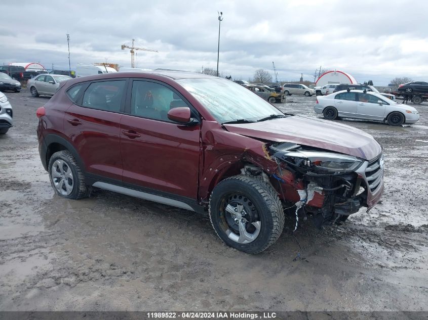 2017 Hyundai Tucson VIN: KM8J23A41HU524114 Lot: 11989522