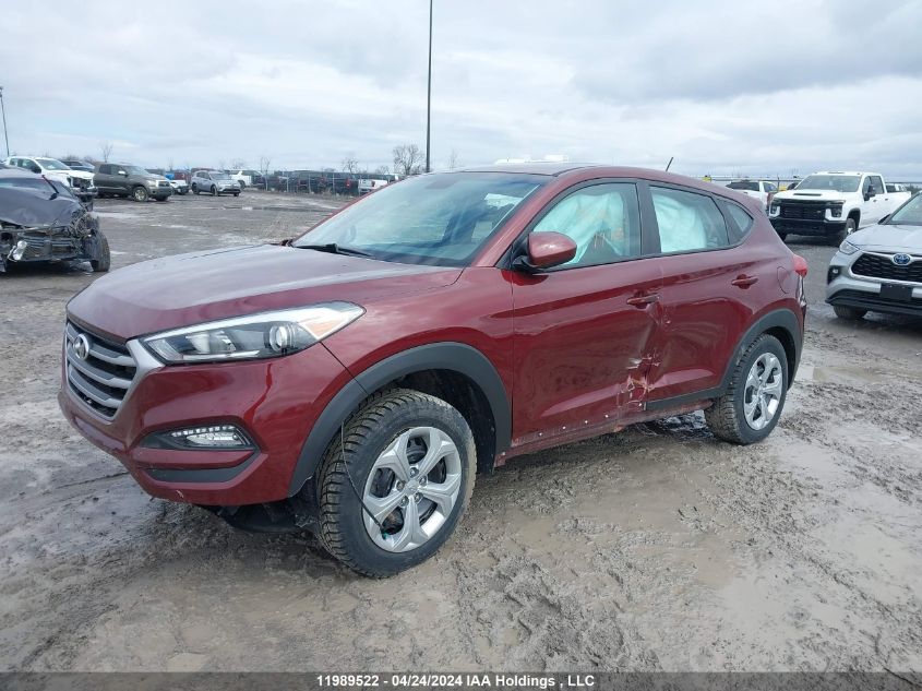 2017 Hyundai Tucson VIN: KM8J23A41HU524114 Lot: 11989522