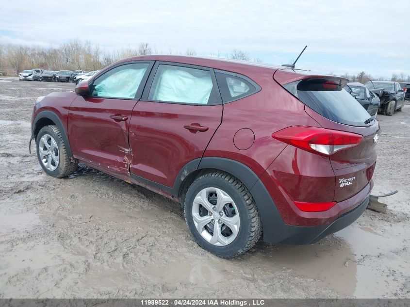 2017 Hyundai Tucson VIN: KM8J23A41HU524114 Lot: 11989522