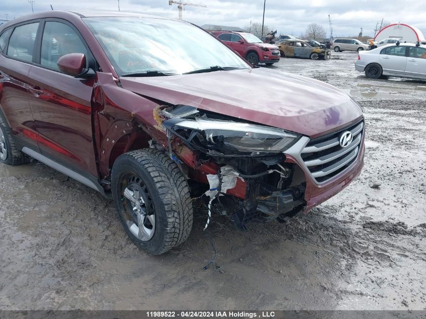 2017 Hyundai Tucson VIN: KM8J23A41HU524114 Lot: 11989522