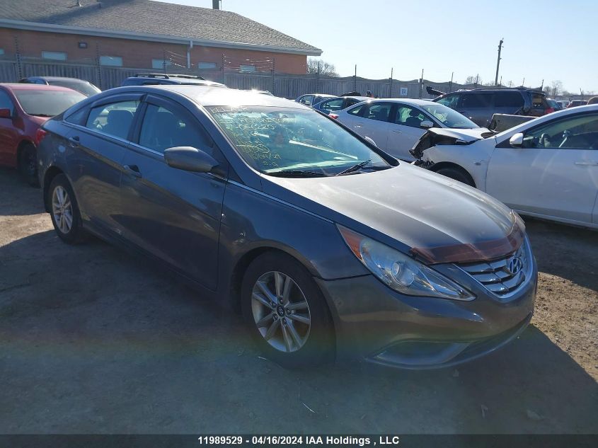 2011 Hyundai Sonata VIN: 5NPEB4AC9BH056220 Lot: 11989529