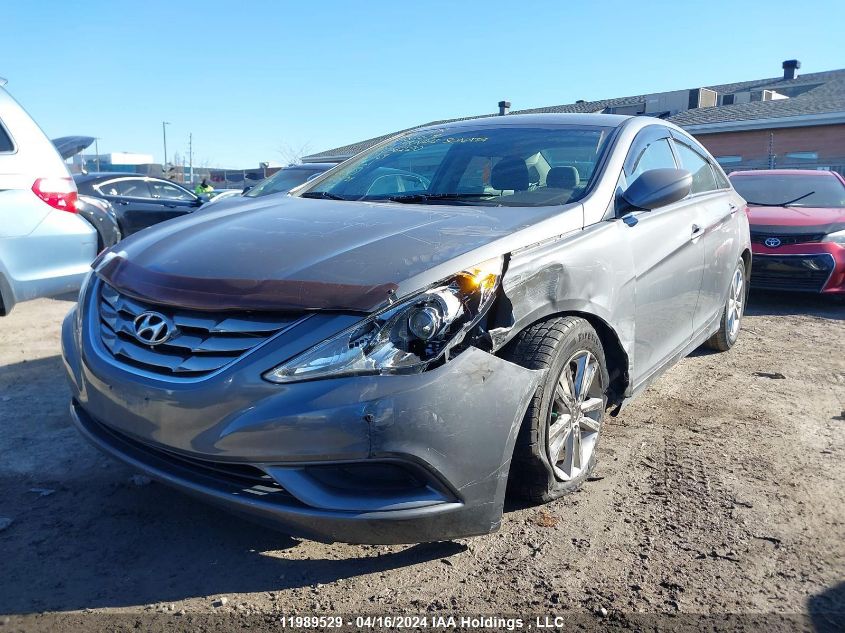 2011 Hyundai Sonata VIN: 5NPEB4AC9BH056220 Lot: 11989529