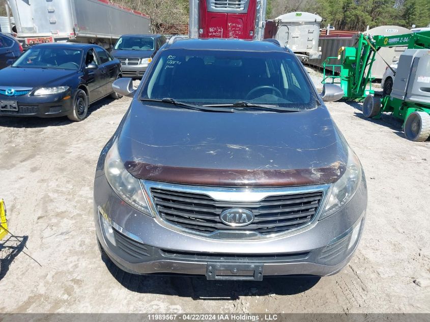 2012 Kia Sportage VIN: KNDPC3A29C7286661 Lot: 11989567