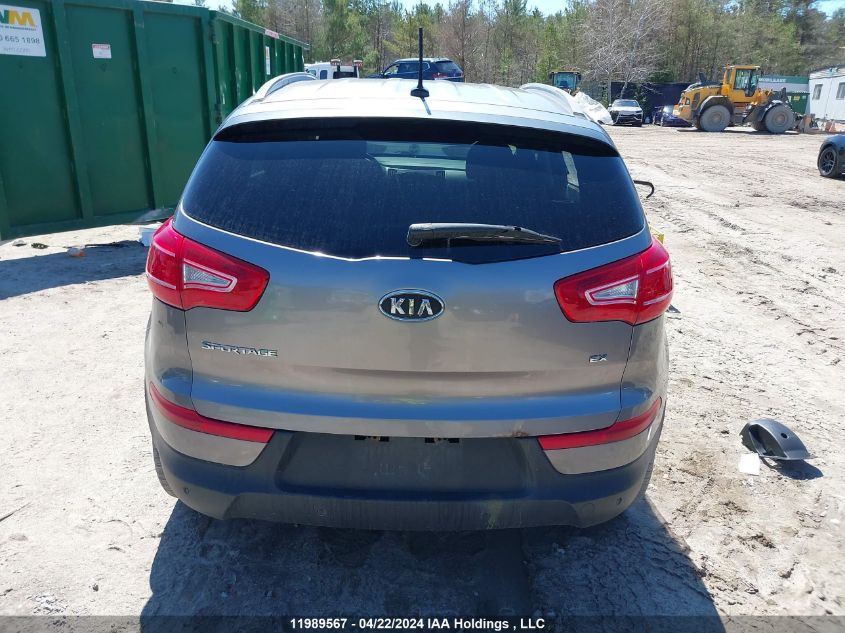 2012 Kia Sportage VIN: KNDPC3A29C7286661 Lot: 11989567