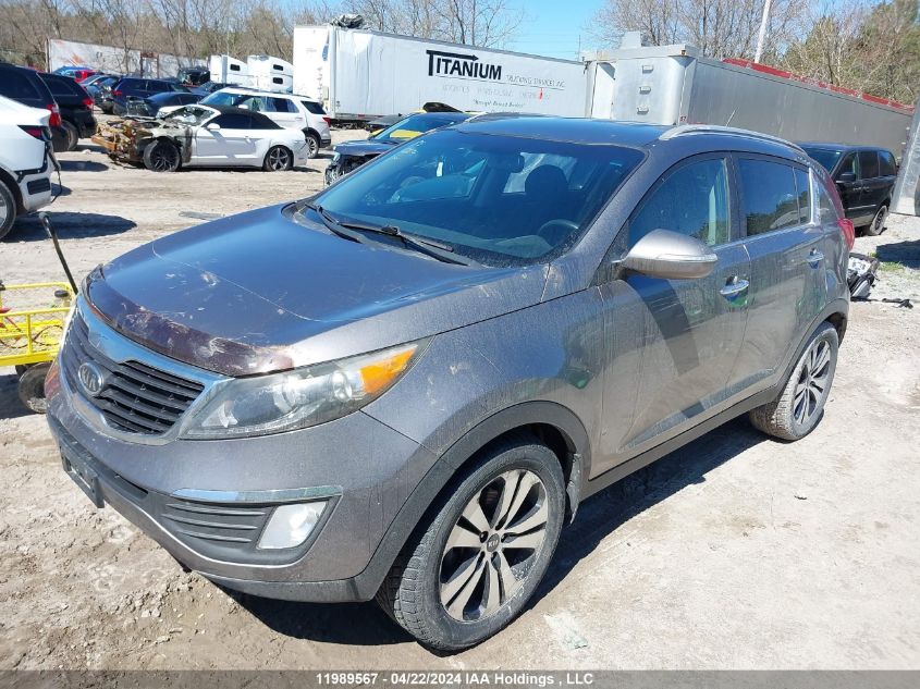 2012 Kia Sportage VIN: KNDPC3A29C7286661 Lot: 11989567