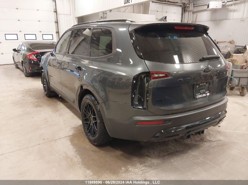 2021 Kia Telluride VIN: 5XYP5DHC7MG122022 Lot: 11989590