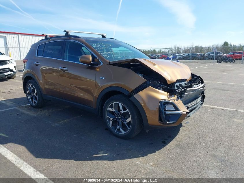 2020 Kia Sportage VIN: KNDPNCAC1L7678455 Lot: 11989634