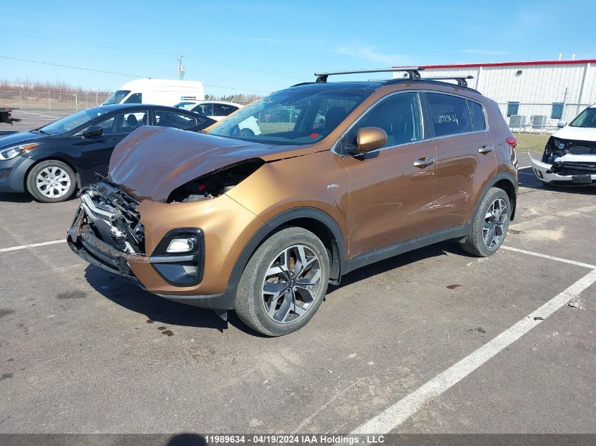 2020 Kia Sportage VIN: KNDPNCAC1L7678455 Lot: 11989634