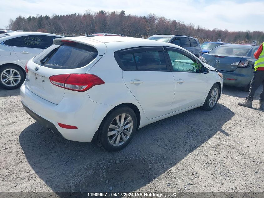 2015 Kia Forte Lx VIN: KNAFK5A89F5315913 Lot: 11989657