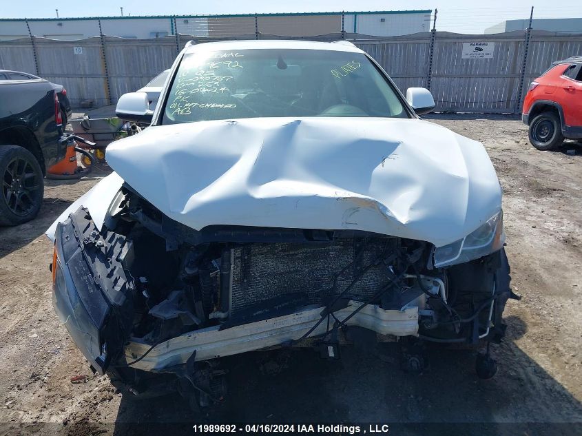 2010 Audi Q5 Premium Plus VIN: WA1LKAFP9AA090787 Lot: 11989692