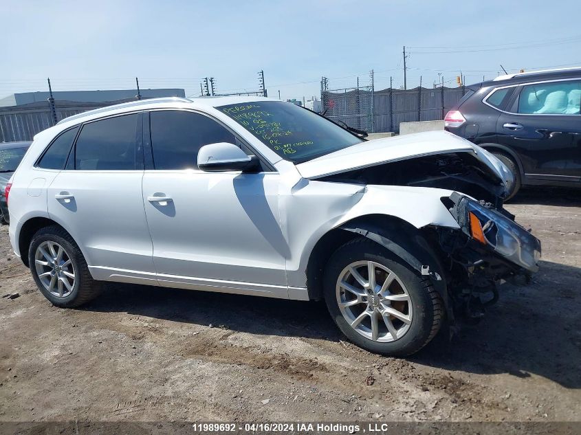 2010 Audi Q5 Premium Plus VIN: WA1LKAFP9AA090787 Lot: 11989692