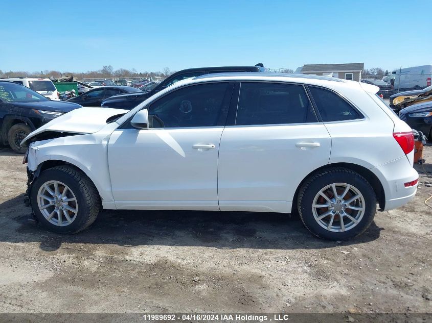 2010 Audi Q5 Premium Plus VIN: WA1LKAFP9AA090787 Lot: 11989692