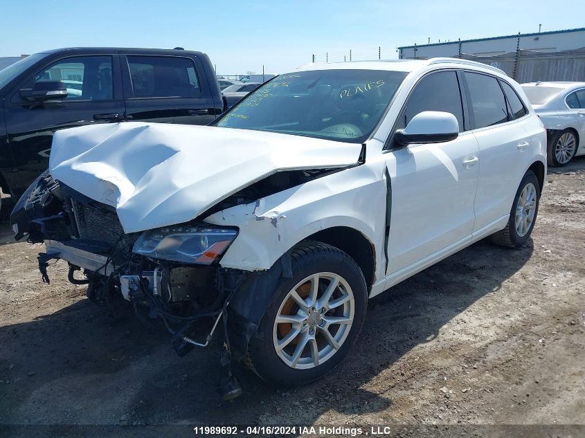 2010 Audi Q5 Premium Plus VIN: WA1LKAFP9AA090787 Lot: 11989692