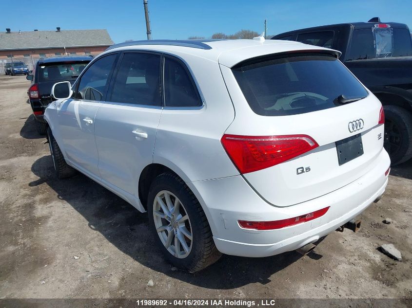 2010 Audi Q5 Premium Plus VIN: WA1LKAFP9AA090787 Lot: 11989692