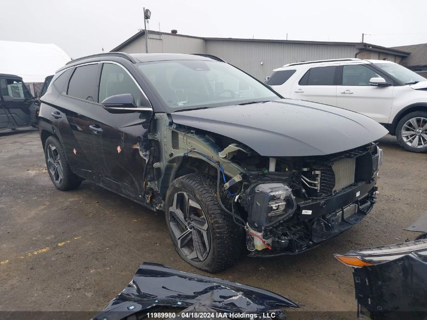 2024 Hyundai Tucson Ultimate Awd VIN: KM8JCCD14RU141607 Lot: 11989980