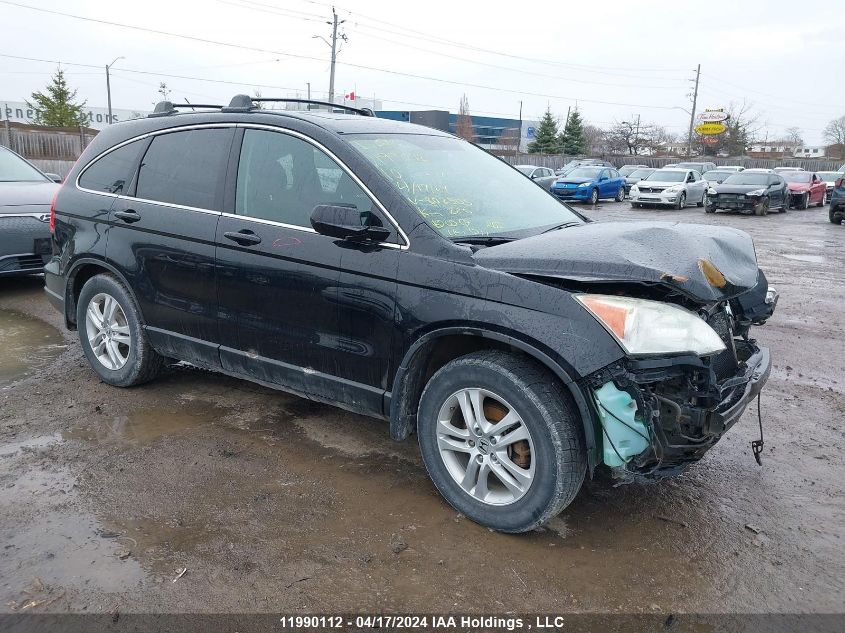 2010 Honda Cr-V VIN: 5J6RE4H53AL802505 Lot: 11990112