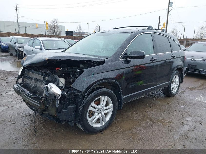 2010 Honda Cr-V VIN: 5J6RE4H53AL802505 Lot: 11990112