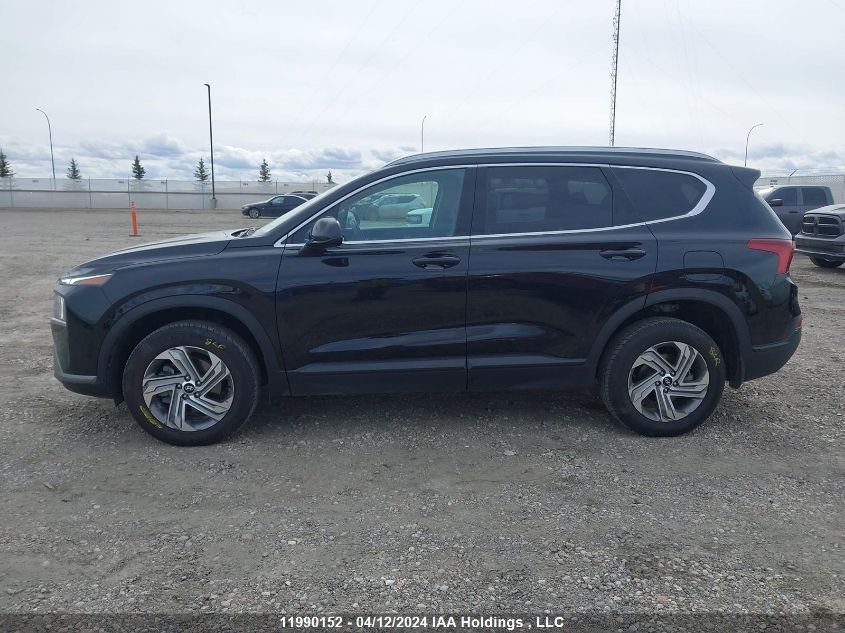 2022 Hyundai Santa Fe Sel VIN: 5NMS2DAJ3NH409649 Lot: 11990152