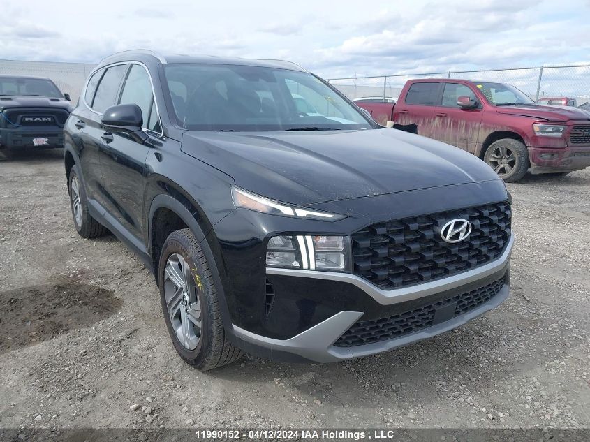 2022 Hyundai Santa Fe Sel VIN: 5NMS2DAJ3NH409649 Lot: 11990152