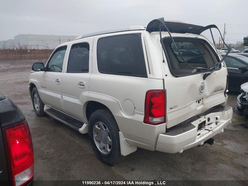 2004 Cadillac Escalade Luxury VIN: 1GYEK63N54R100696 Lot: 11990236