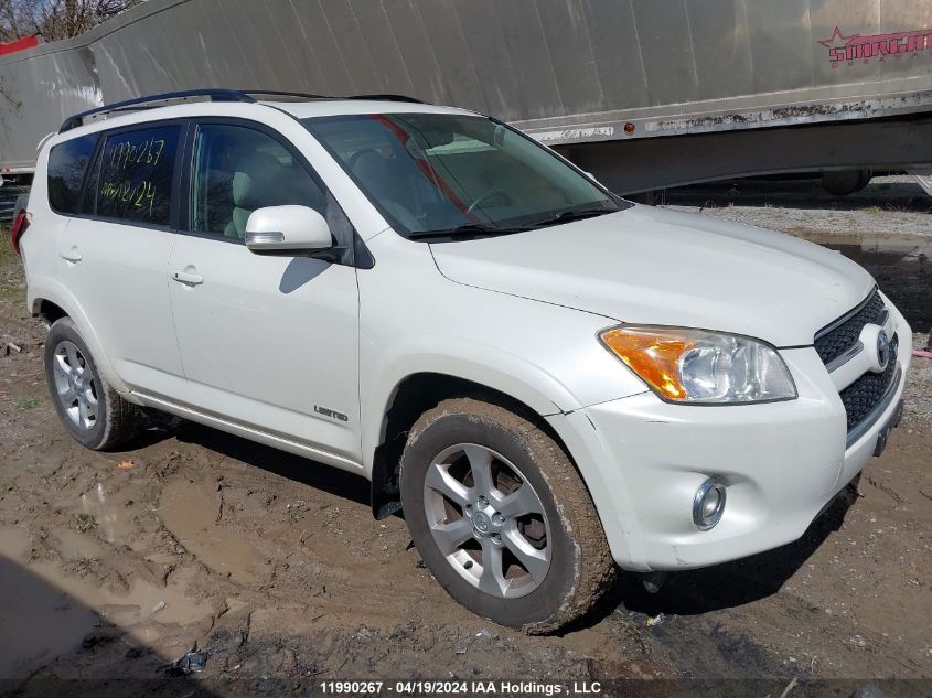 2009 Toyota Rav4 Limited VIN: JTMBK31V495075413 Lot: 11990267