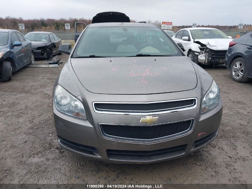 2010 Chevrolet Malibu VIN: 1G1ZB5E05AF296034 Lot: 11990290