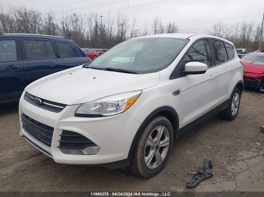 2014 Ford Escape Se VIN: 1FMCU0G97EUE02406 Lot: 11990375