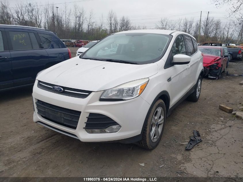 2014 Ford Escape Se VIN: 1FMCU0G97EUE02406 Lot: 11990375