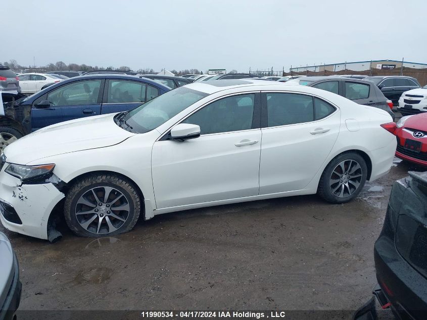 2016 Acura Tlx VIN: 19UUB1F37GA800559 Lot: 11990534