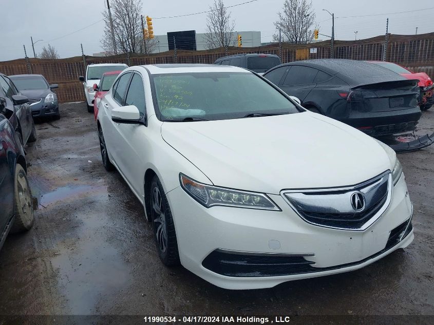 2016 Acura Tlx VIN: 19UUB1F37GA800559 Lot: 11990534