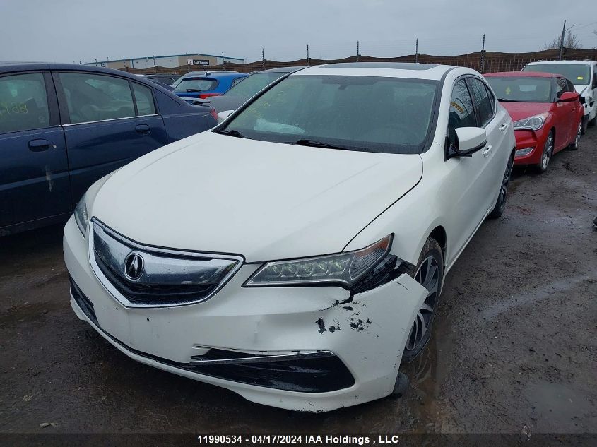 2016 Acura Tlx VIN: 19UUB1F37GA800559 Lot: 11990534