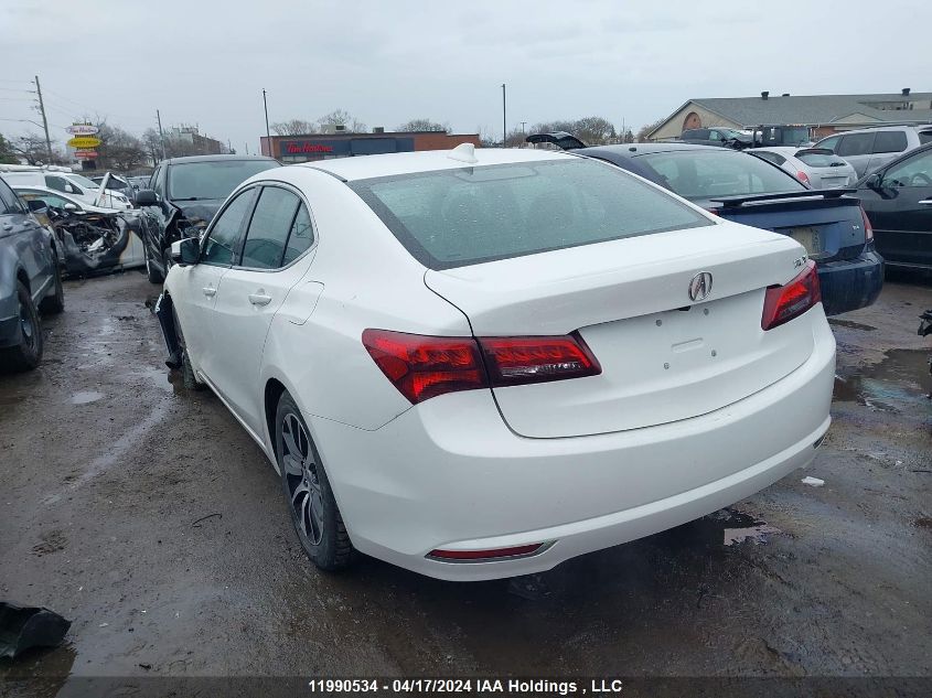 2016 Acura Tlx VIN: 19UUB1F37GA800559 Lot: 11990534