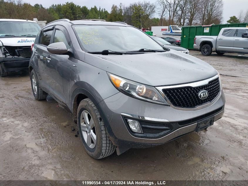 2016 Kia Sportage VIN: KNDPBCAC6G7851286 Lot: 11990554