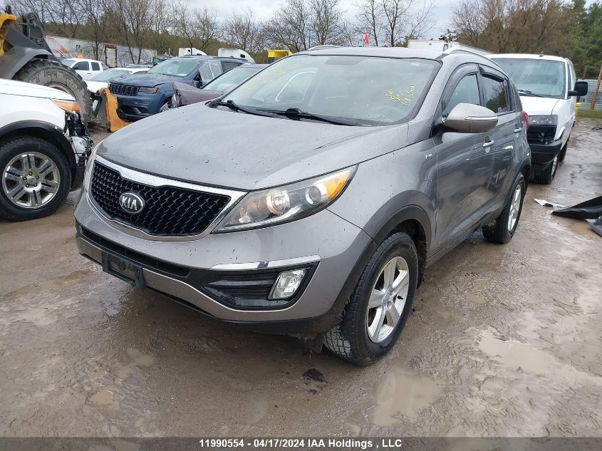 2016 Kia Sportage VIN: KNDPBCAC6G7851286 Lot: 11990554