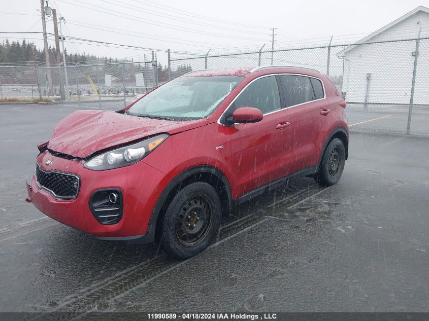 2018 Kia Sportage VIN: KNDPMCAC1J7376163 Lot: 11990589