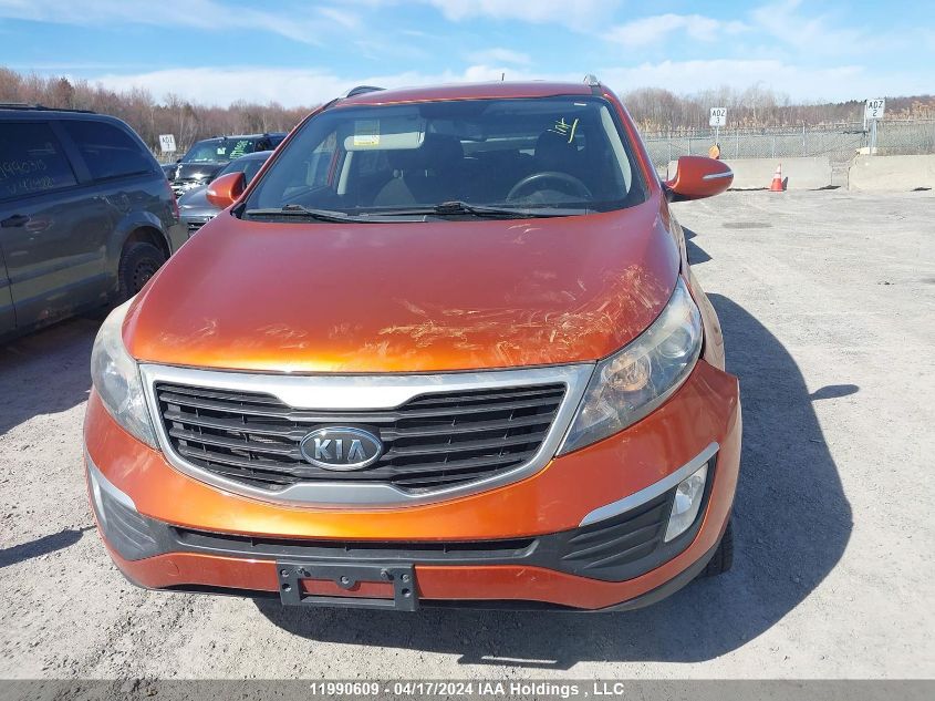 2011 Kia Sportage VIN: KNDPB3A28B7127681 Lot: 11990609