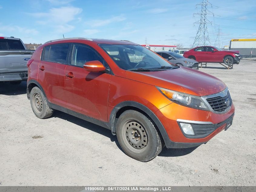 2011 Kia Sportage VIN: KNDPB3A28B7127681 Lot: 11990609