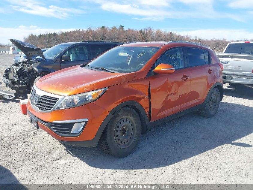 2011 Kia Sportage VIN: KNDPB3A28B7127681 Lot: 11990609