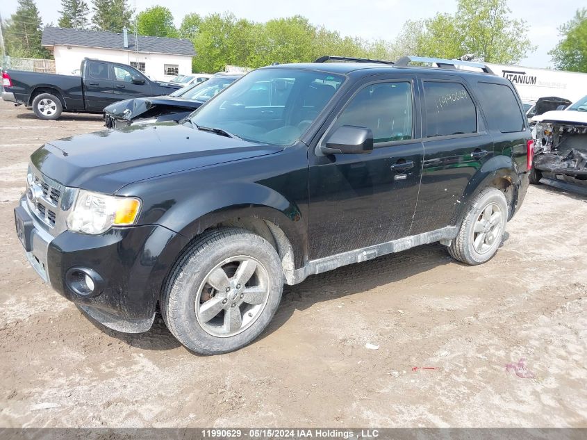 2011 Ford Escape Limited VIN: 1FMCU9EG1BKA01771 Lot: 11990629