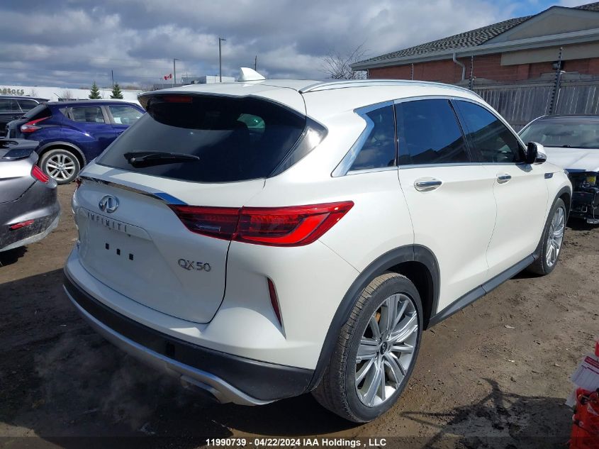 2020 Infiniti Qx50 VIN: 3PCAJ5M35LF105836 Lot: 11990739