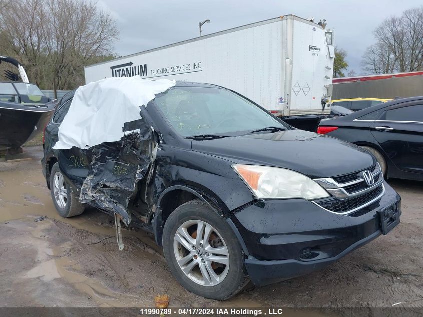 2010 Honda Cr-V VIN: 5J6RE4H76AL802242 Lot: 11990789